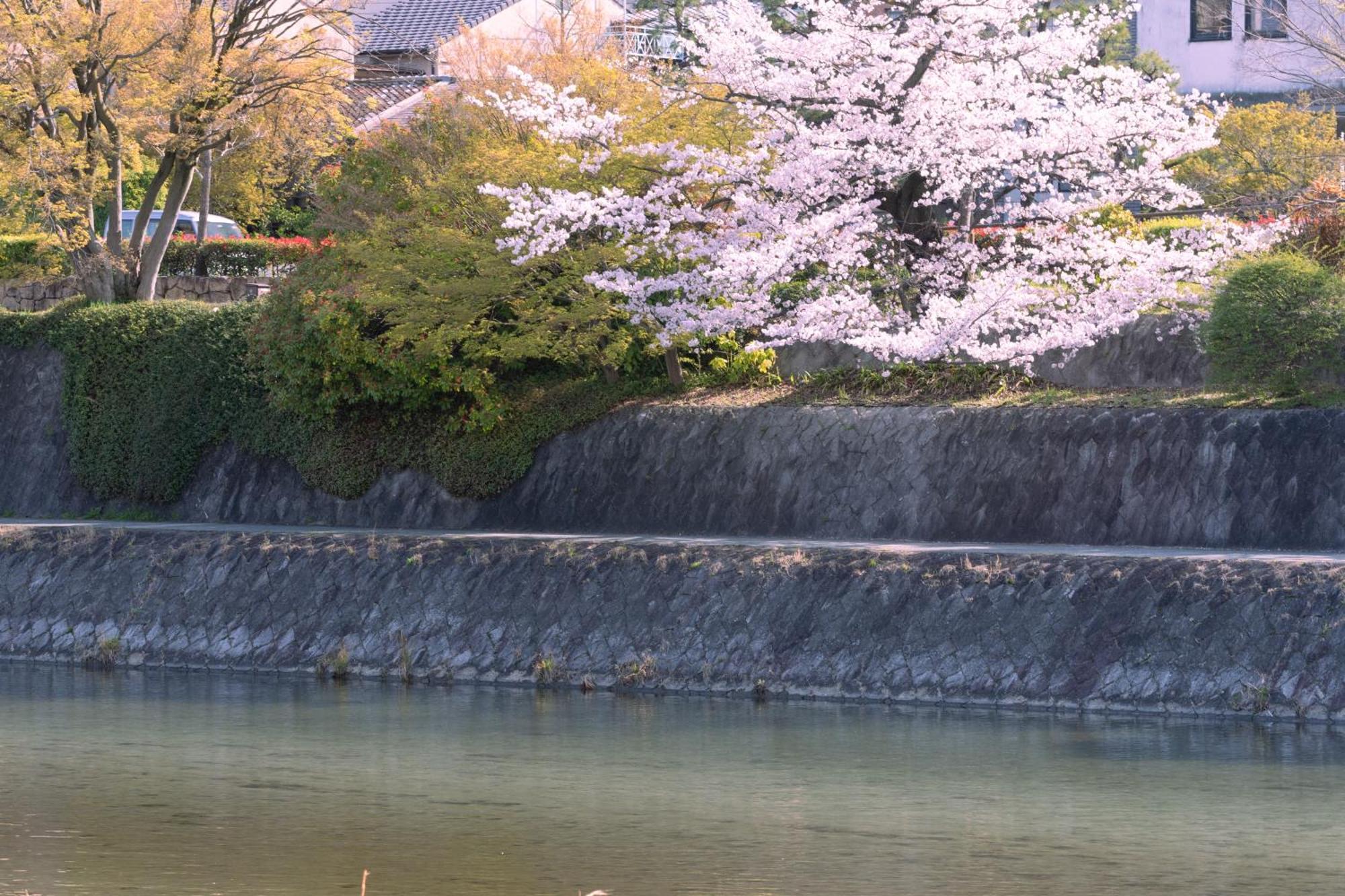 Omo5 Kyoto Sanjo By Hoshino Resorts 외부 사진