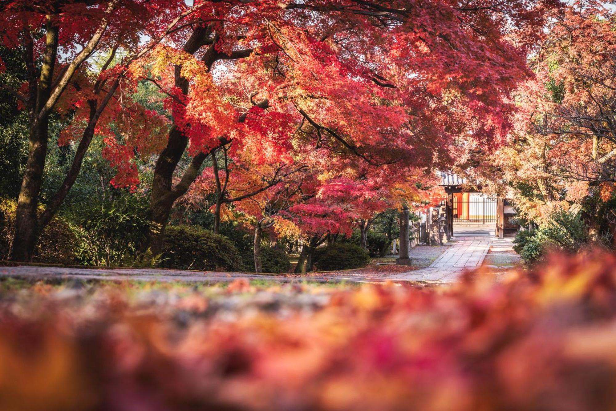 Omo5 Kyoto Sanjo By Hoshino Resorts 외부 사진